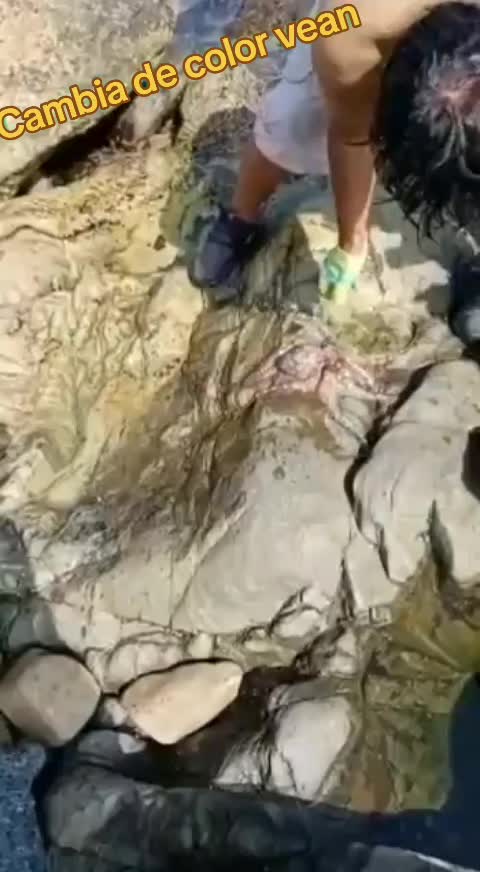 @richardime05