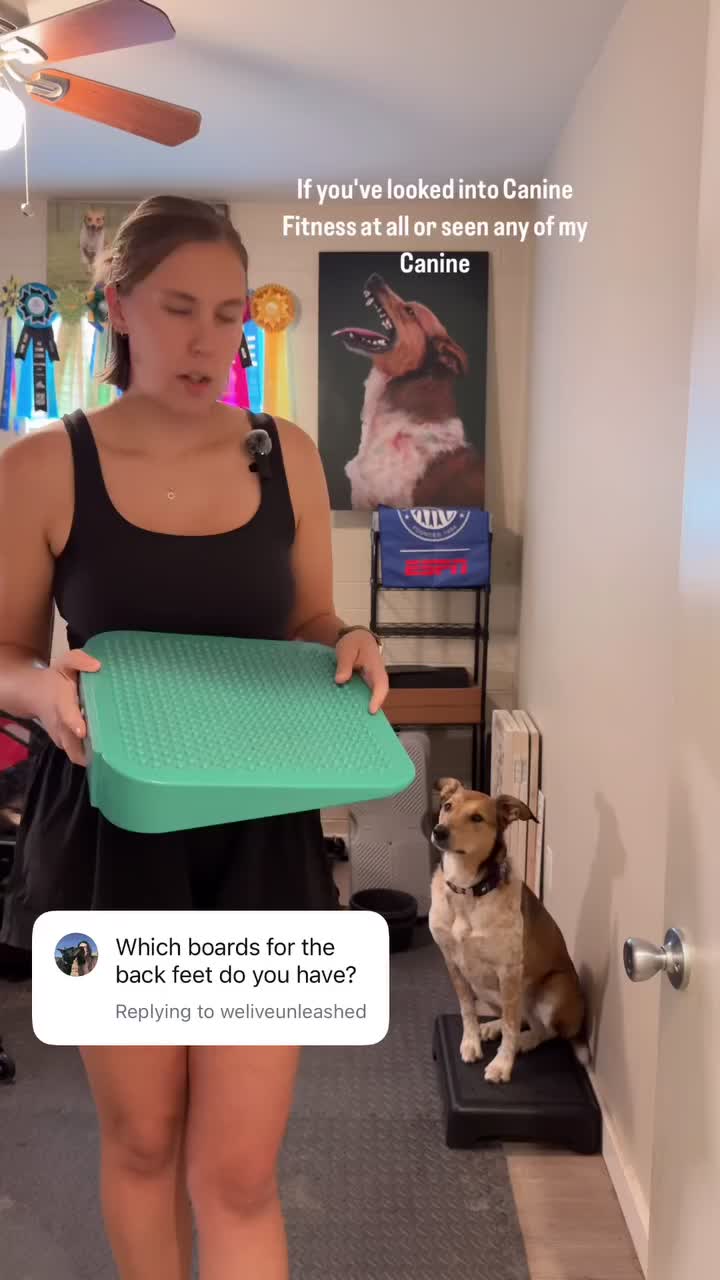 @Marissa | Kota & Aspen