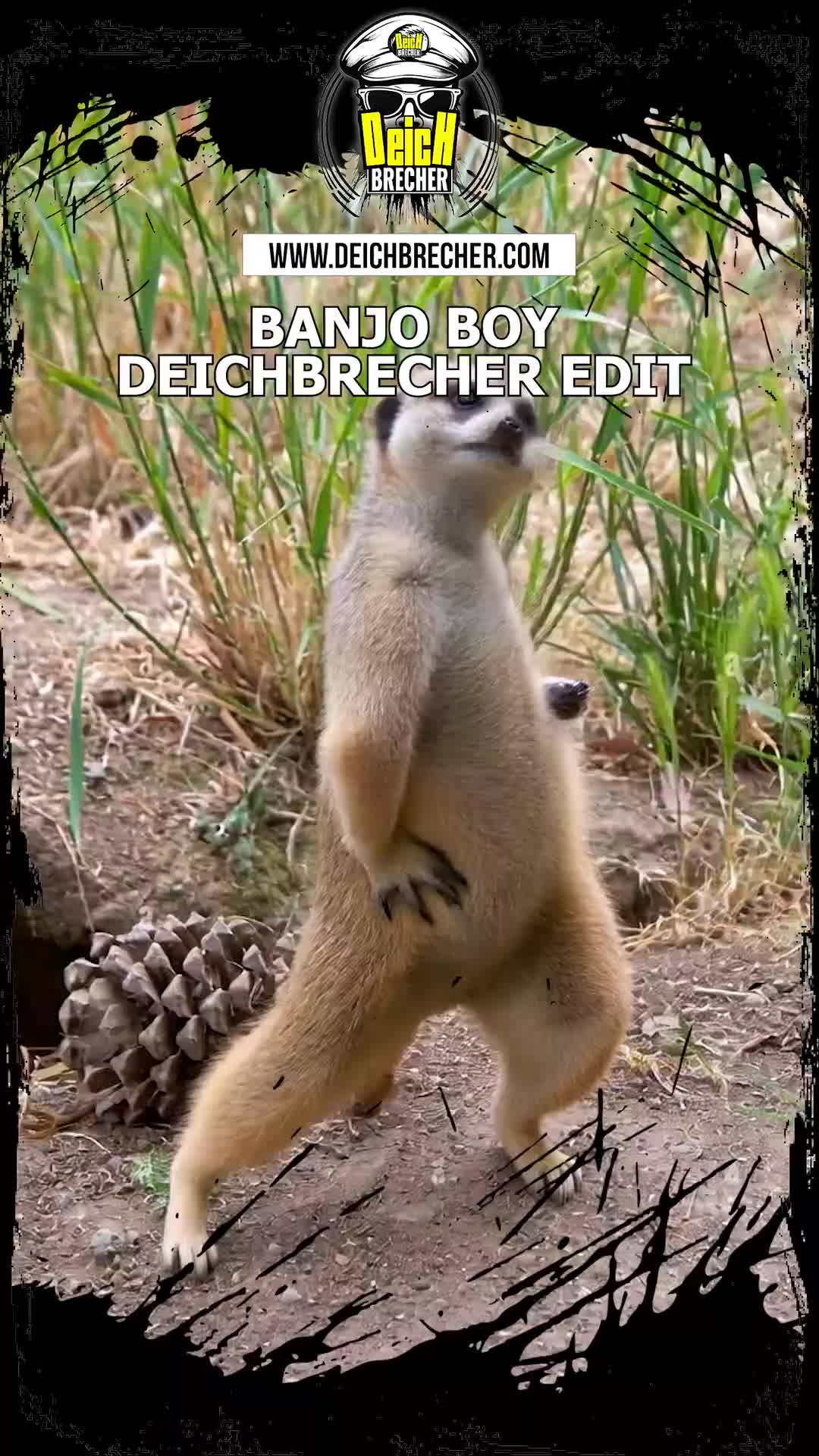 @💣DEICHBRECHER 💣