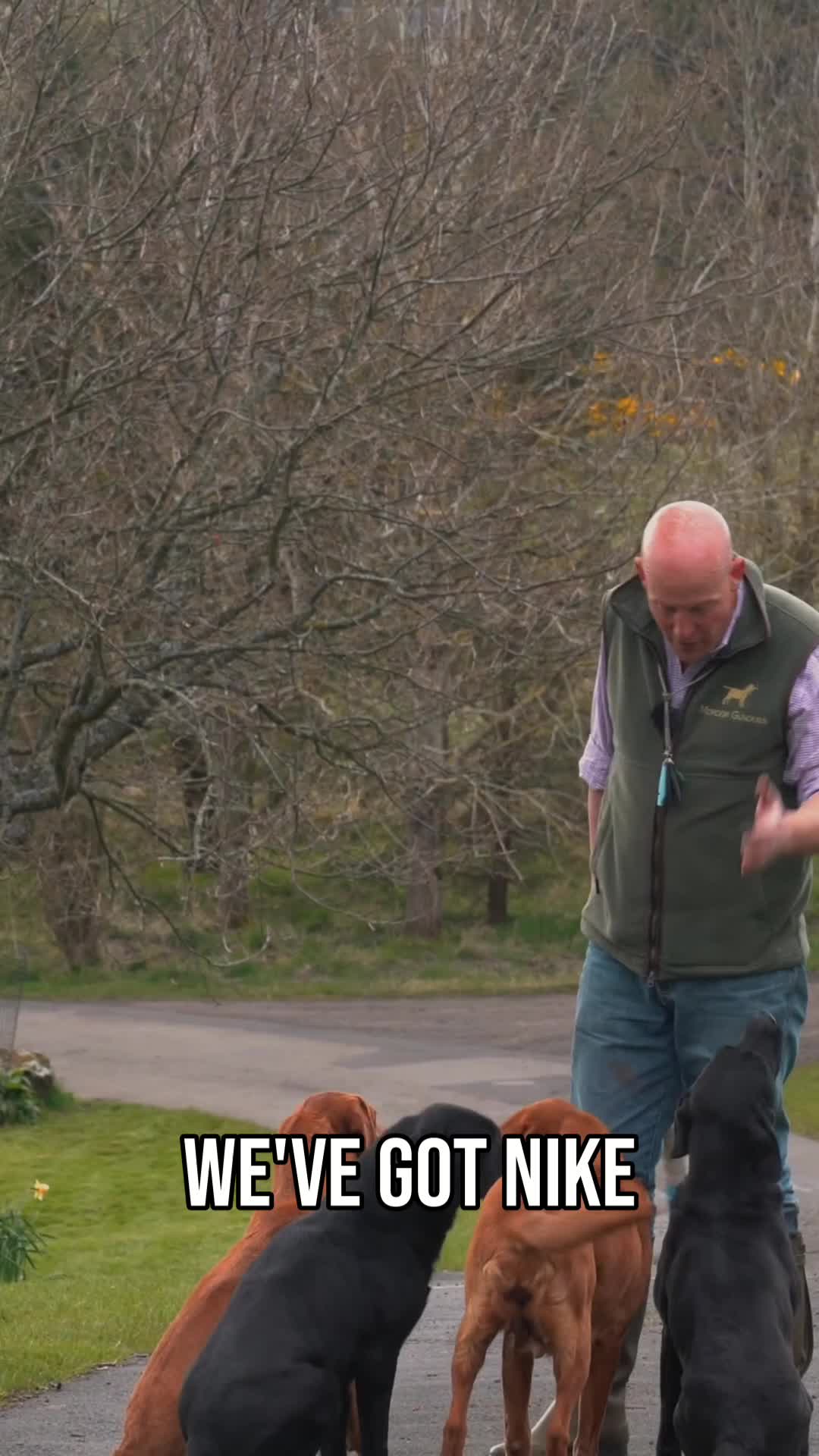 @Mordor Gundogs