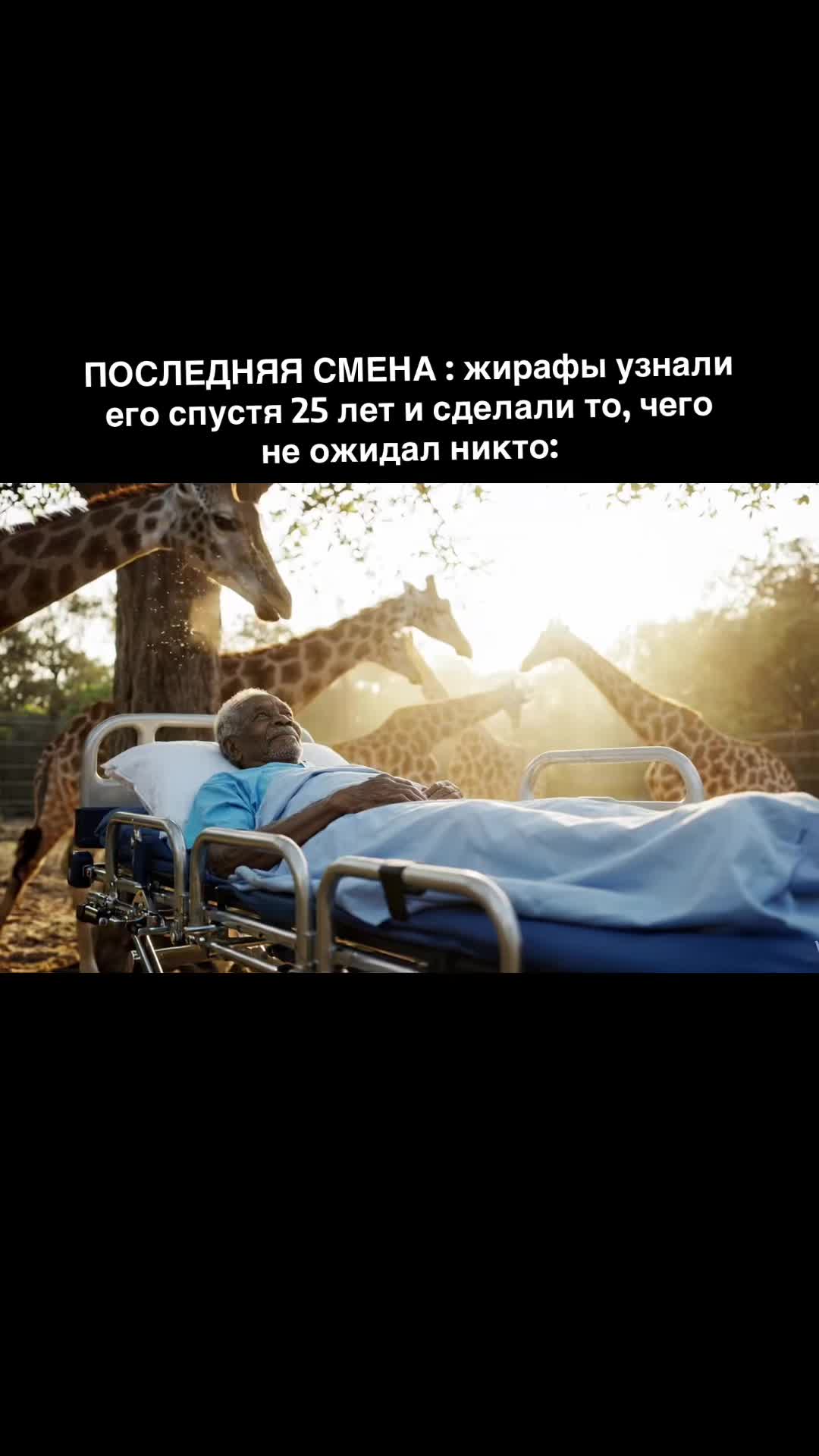 @lanamarket