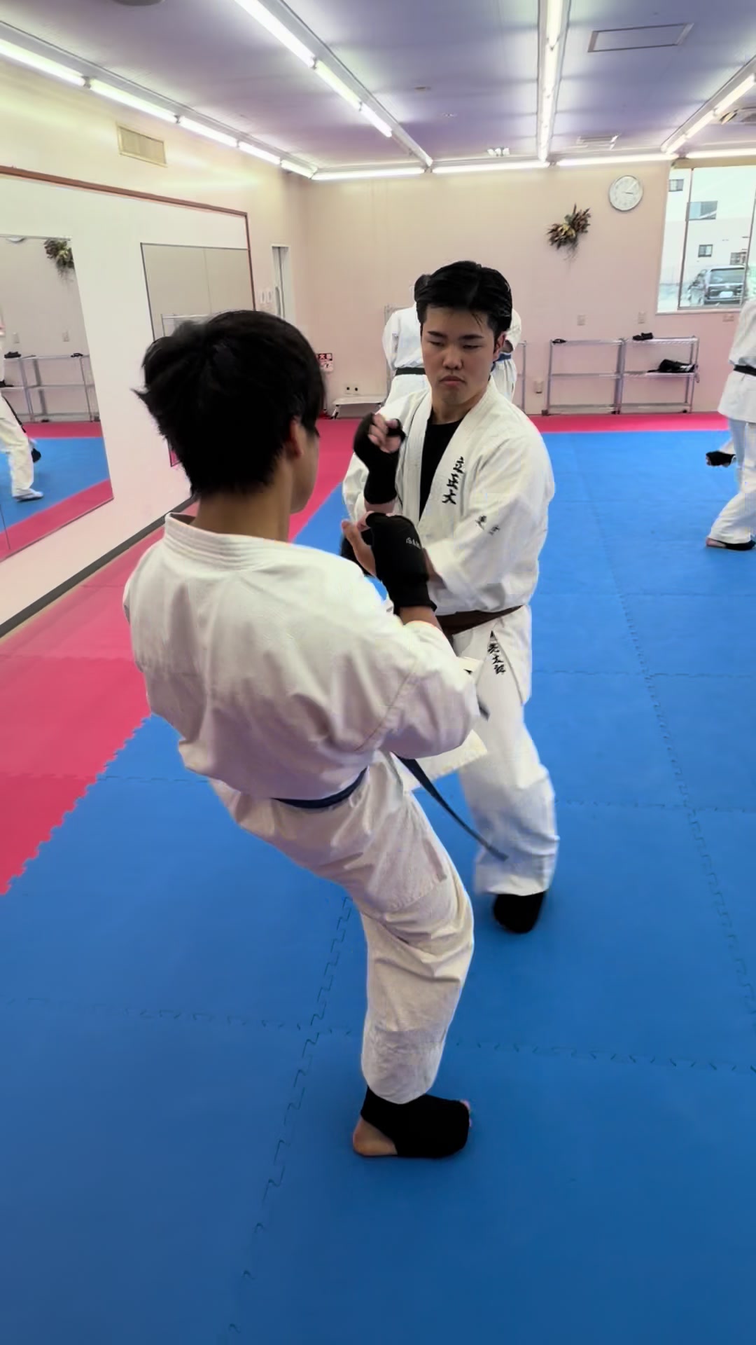 @kudodojo