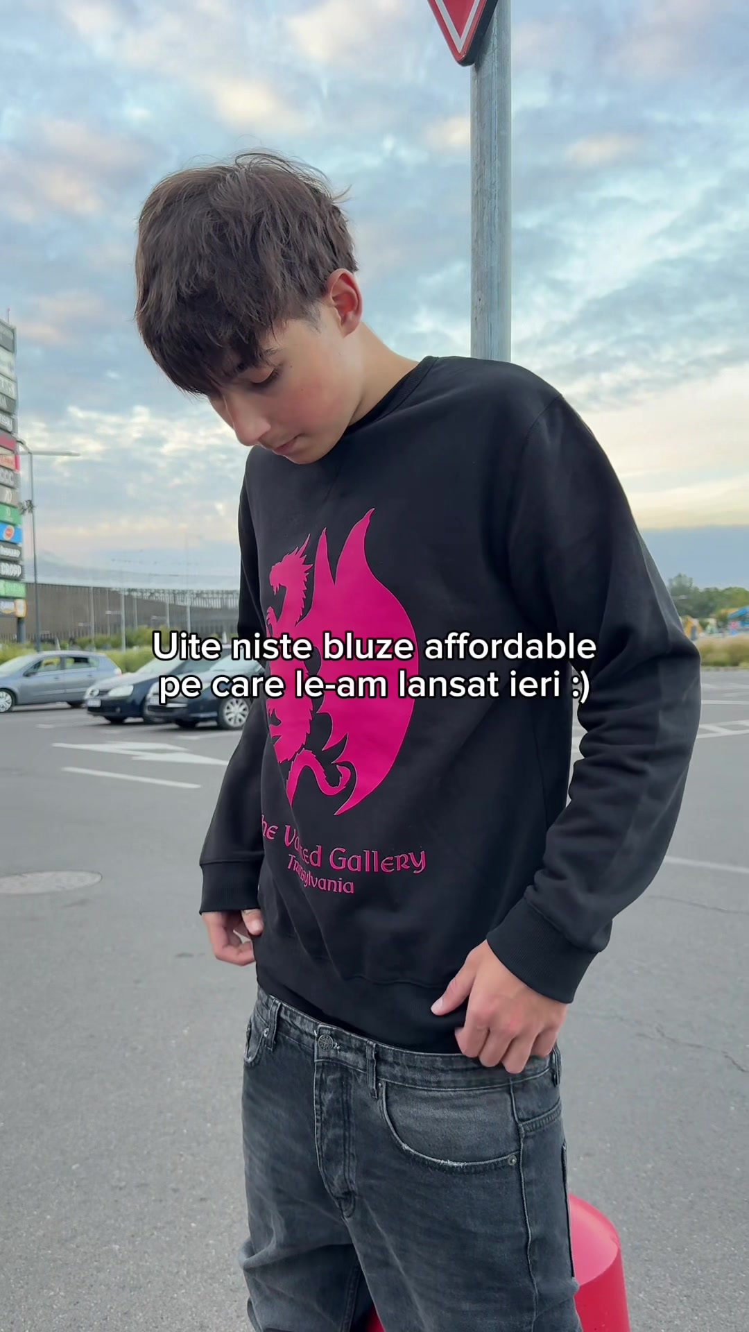 @vaultedglry.ro