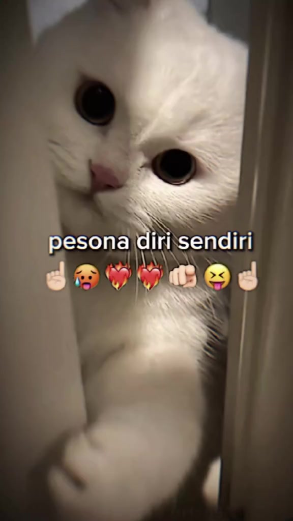 @nazalea♑️ 🇮🇩🇭🇰
