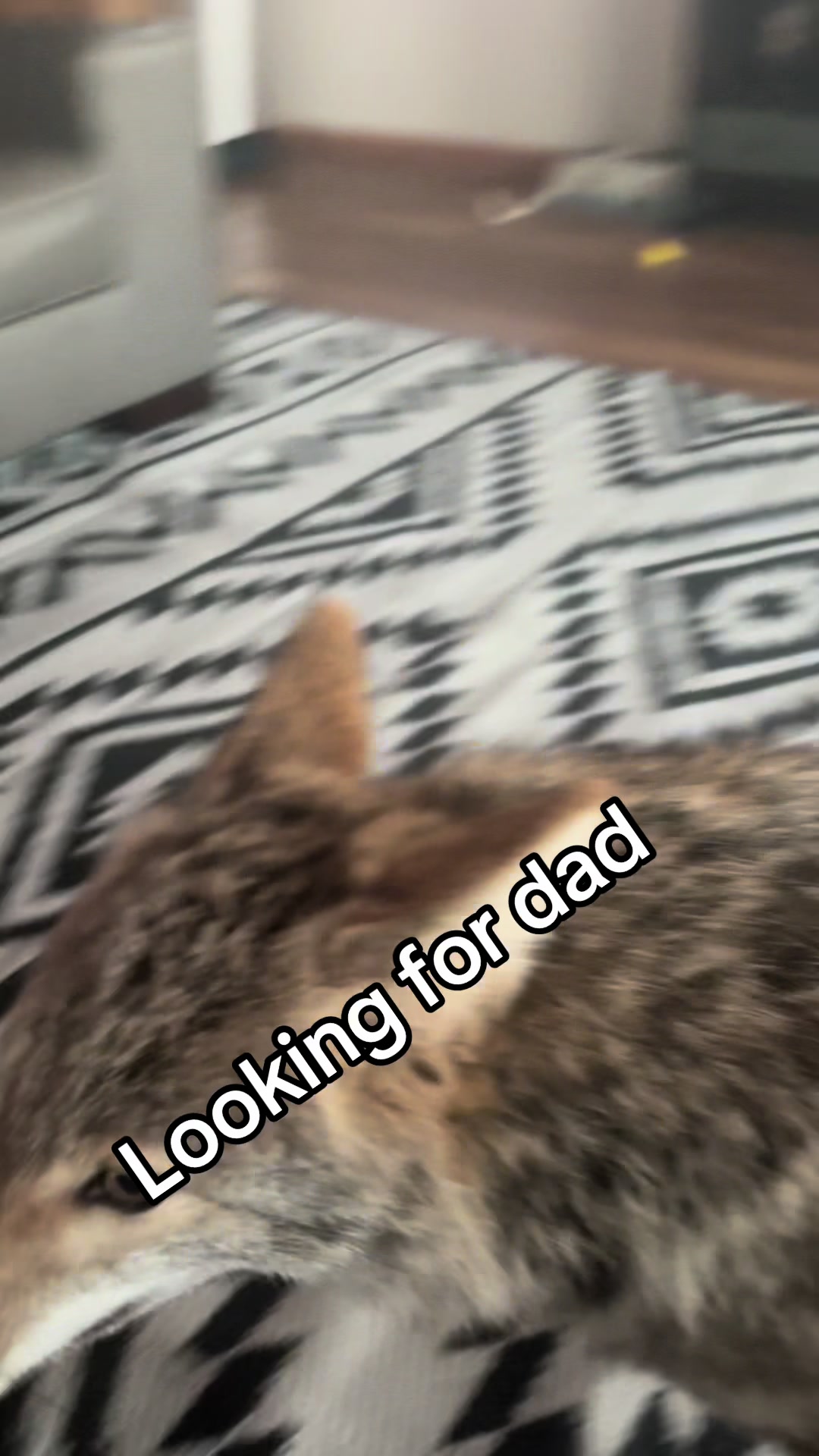 @ittybittyfarm1
