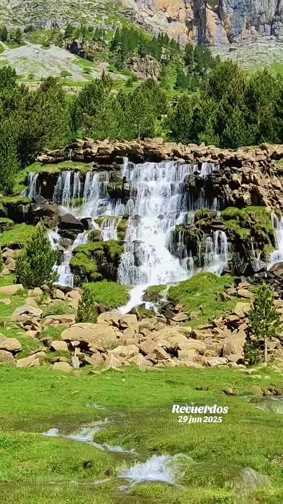 @salud62🦋✨🦋
