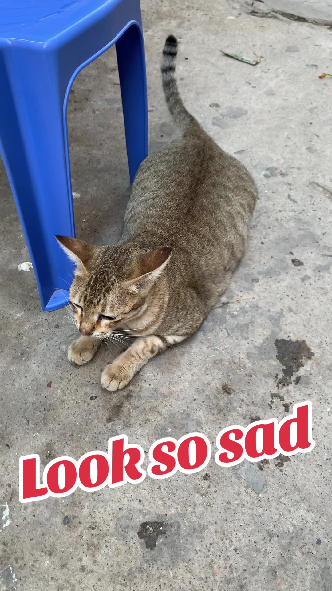 @Mew Mew96