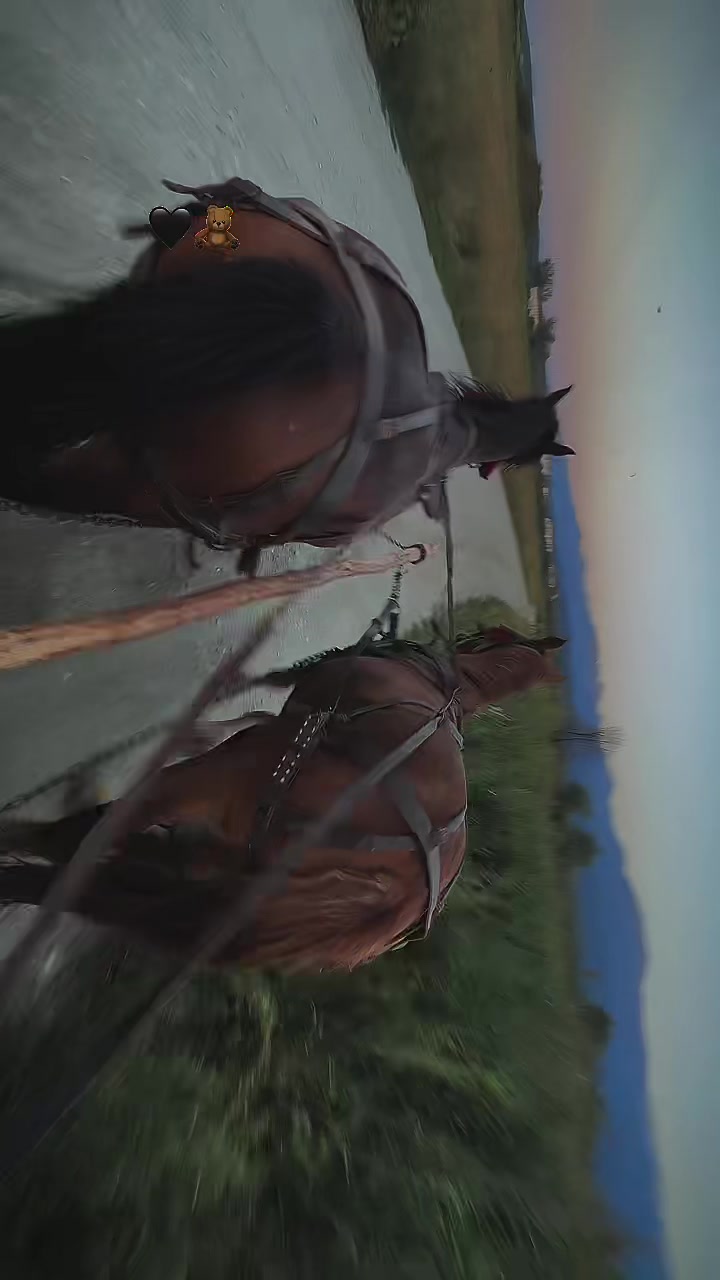 @♛༻༒𝓢𝓽𝓮𝓯𝓪𝓷༒༺♛