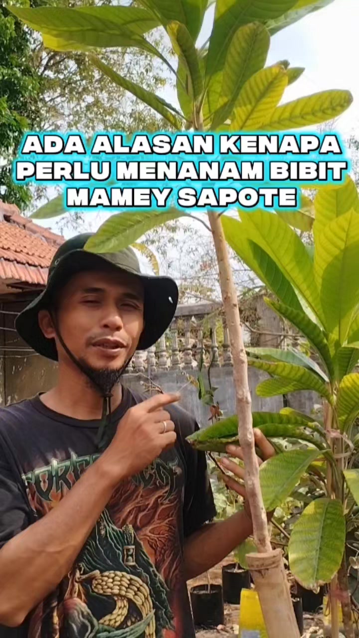 @Bukit Farming