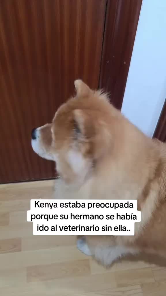 @Kenya y Daddy🐶