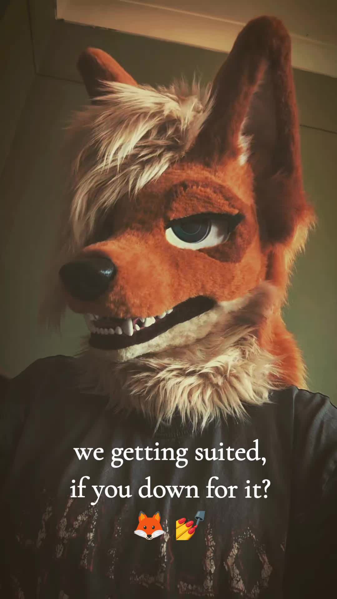 @Fen