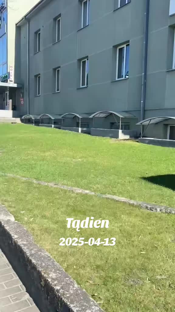 @Riebus katinas