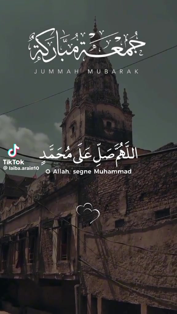 @misbah.hamid66