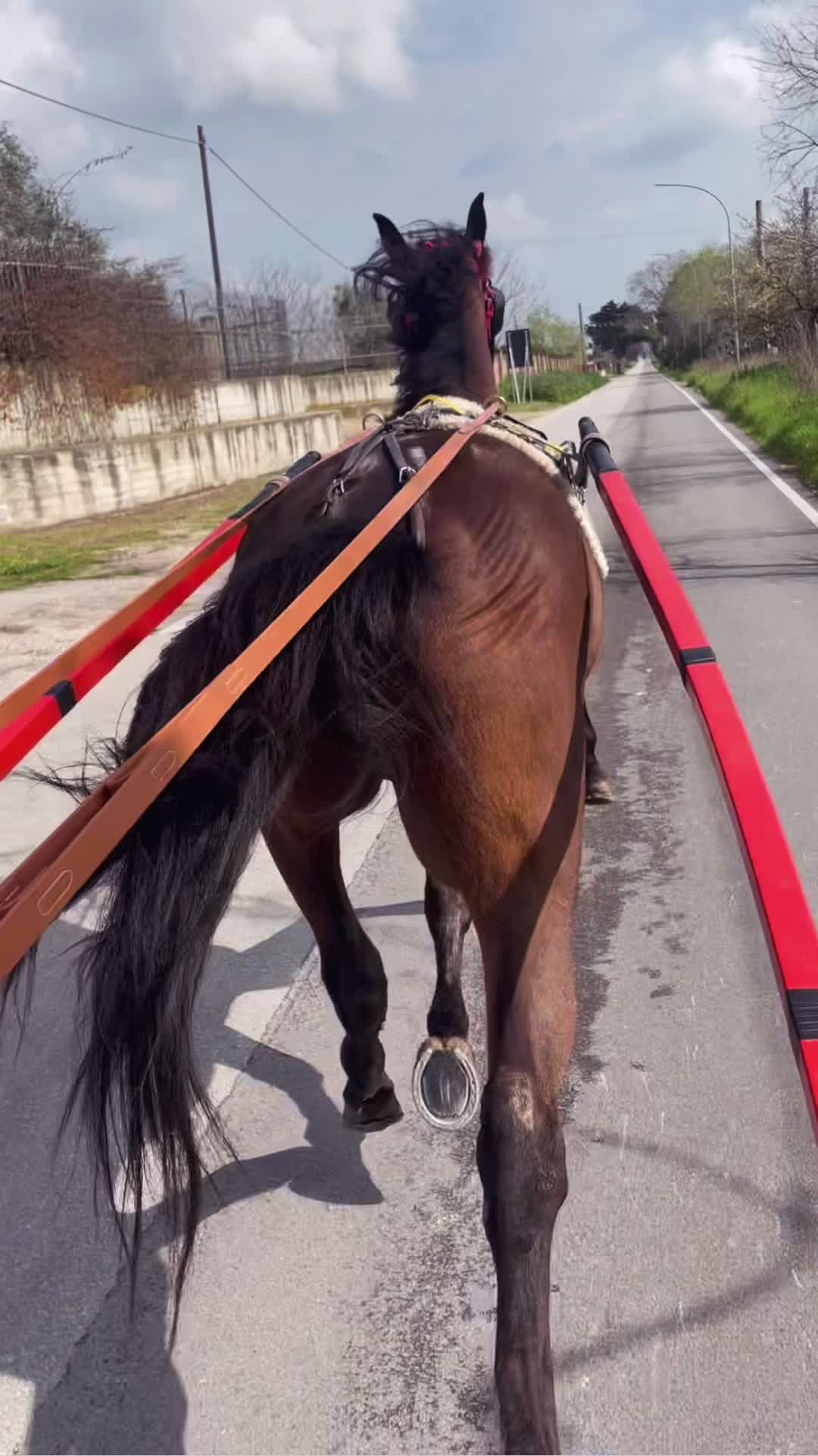 @Alessiade676🔥