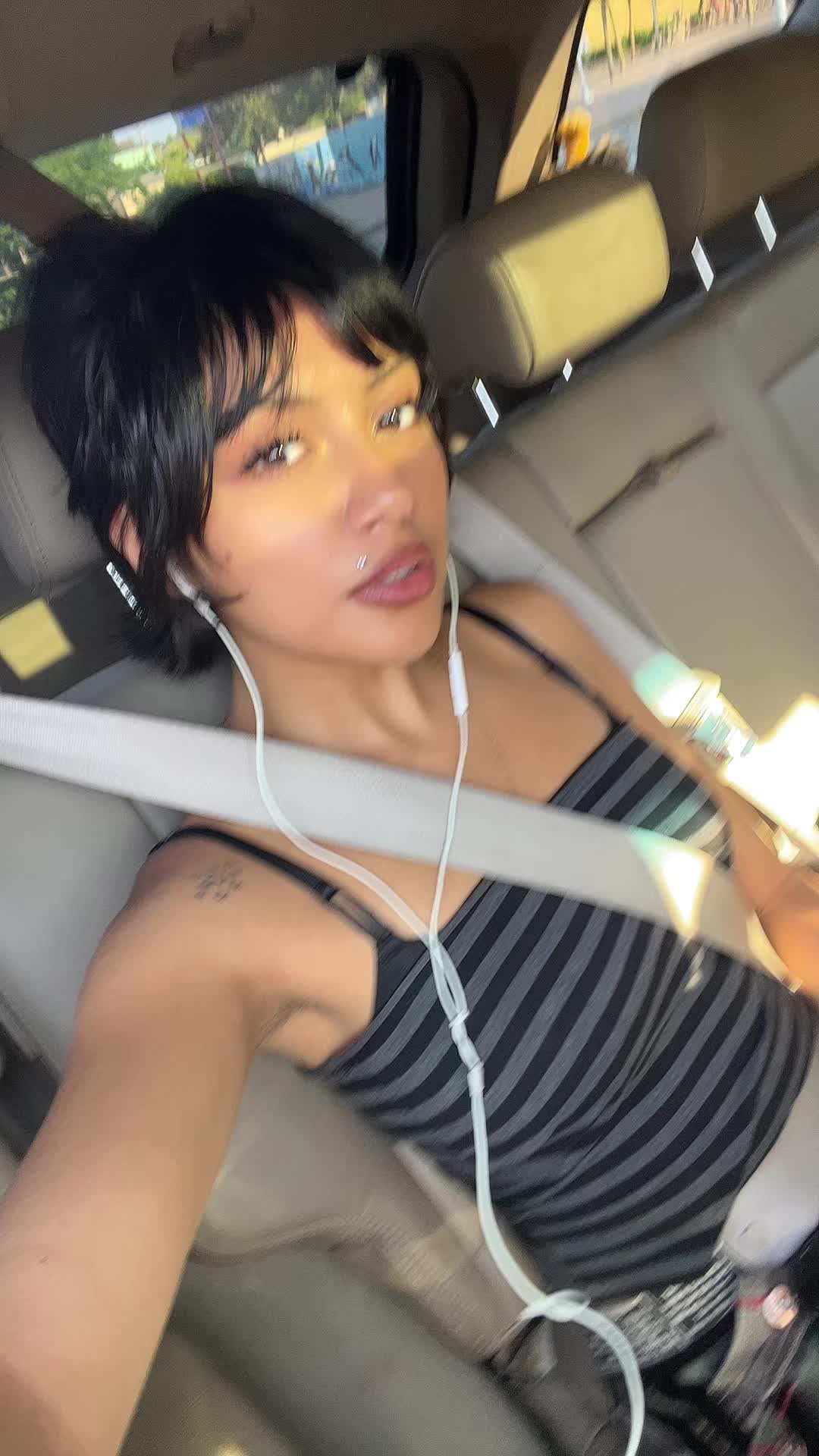 @Bitingthecurbkorgi