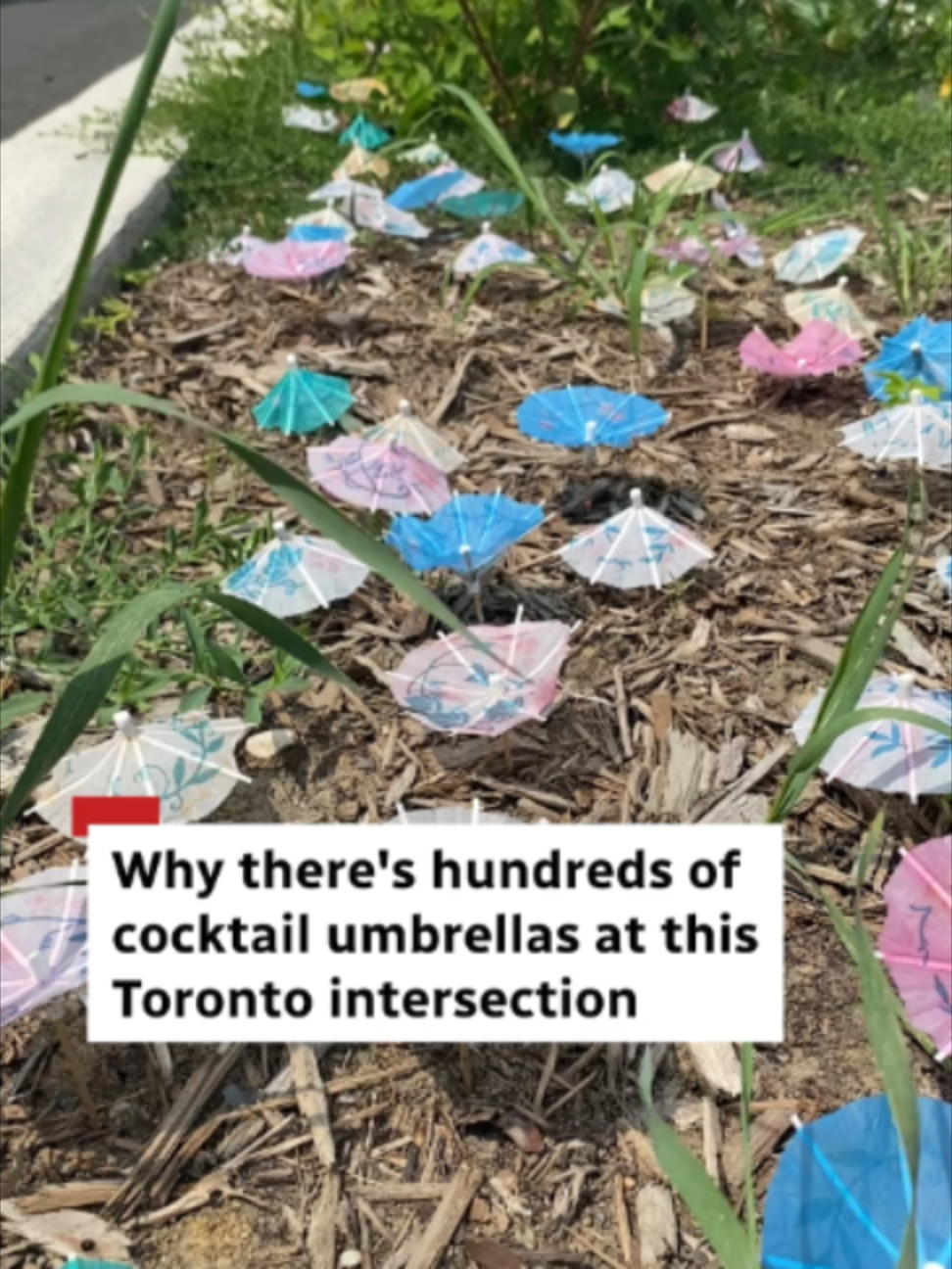 @CBC Toronto