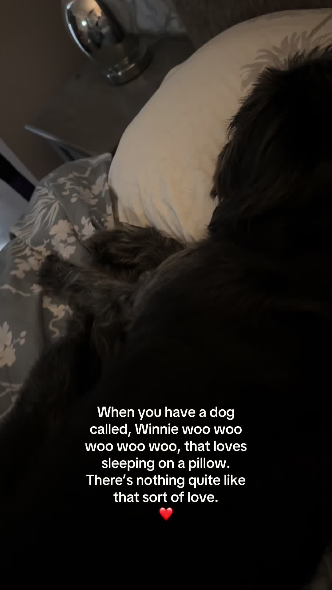 @debbiecroww