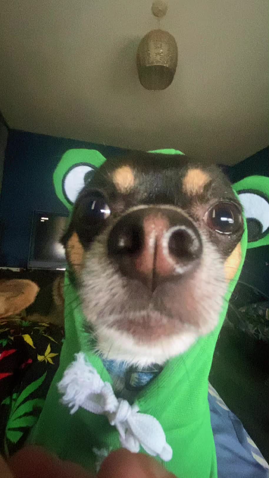 @CL4PCHEEKS