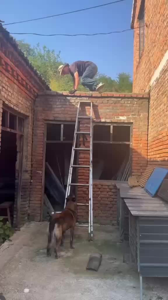 @Funny