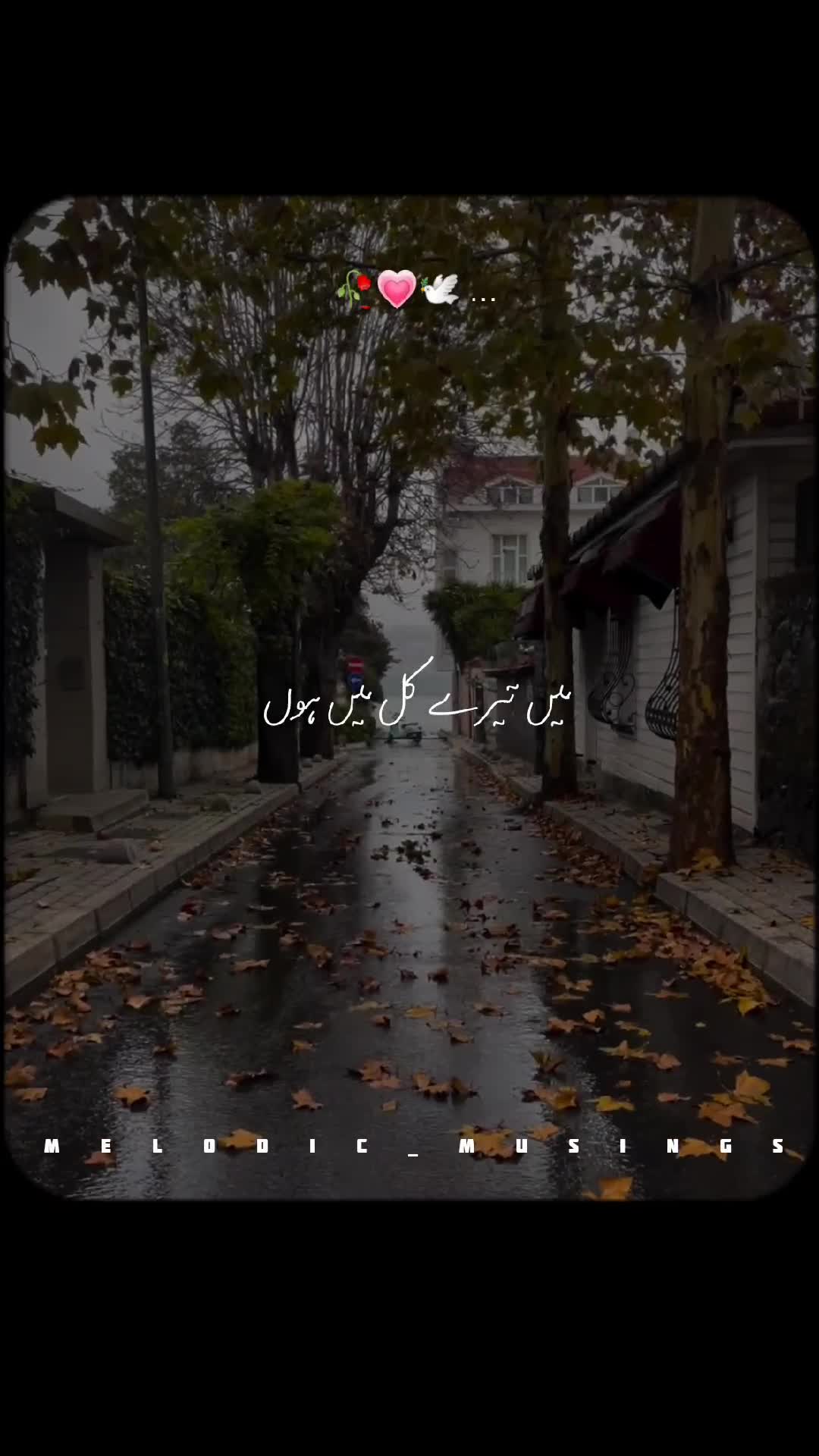 @Melodic Musings🎧🥀