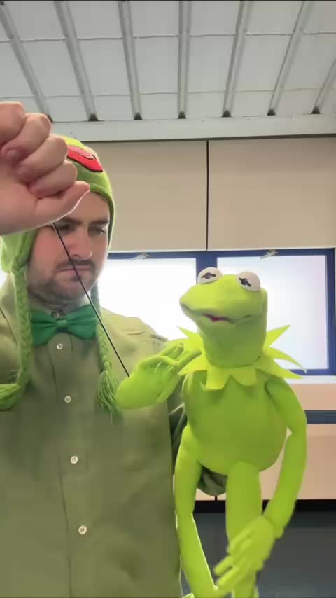 @MagicalTurtles.cos