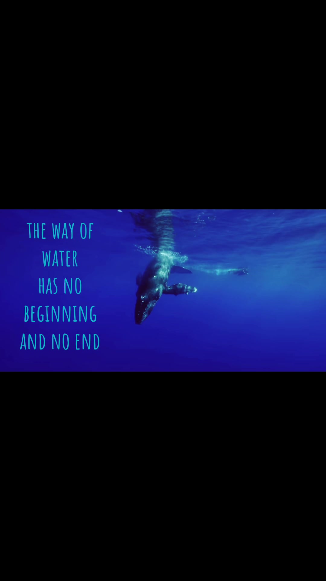 @save the planet