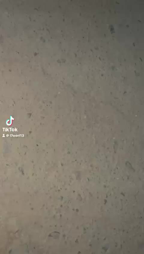 @2-jomo-13-oficeil