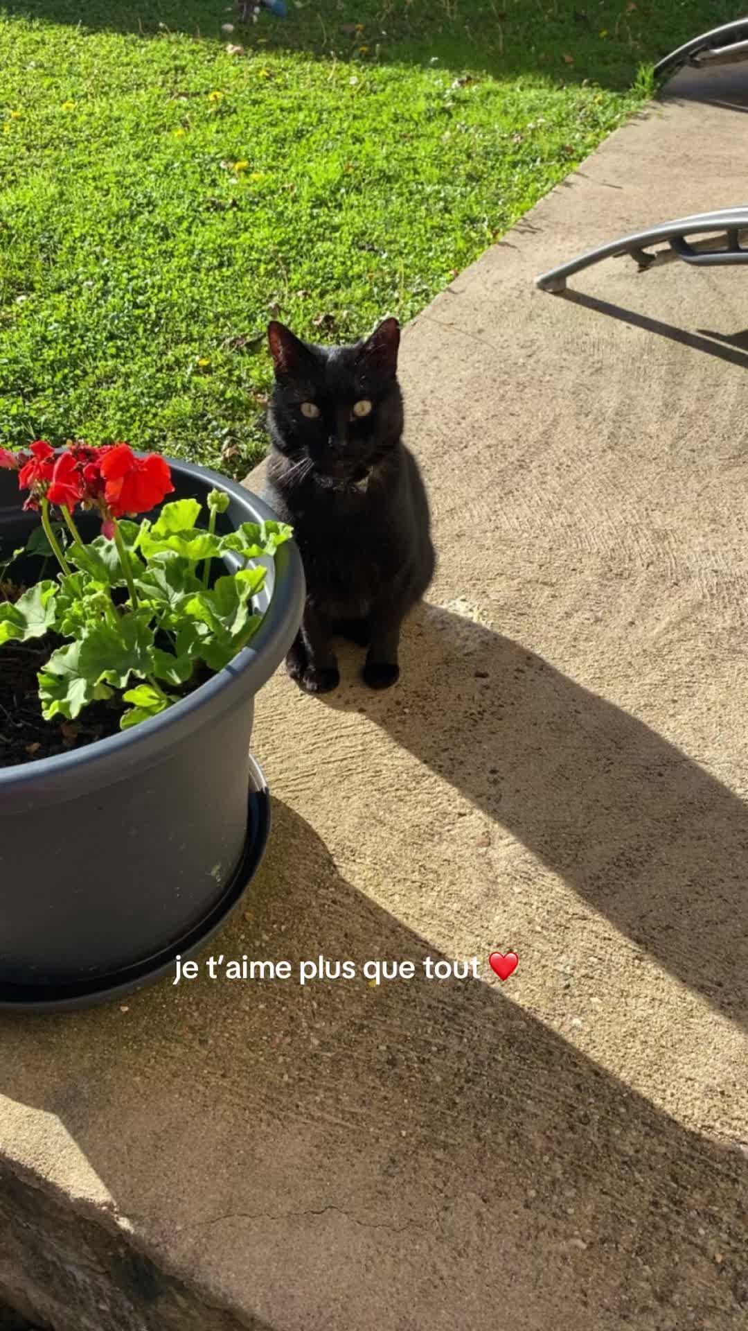 @lélé
