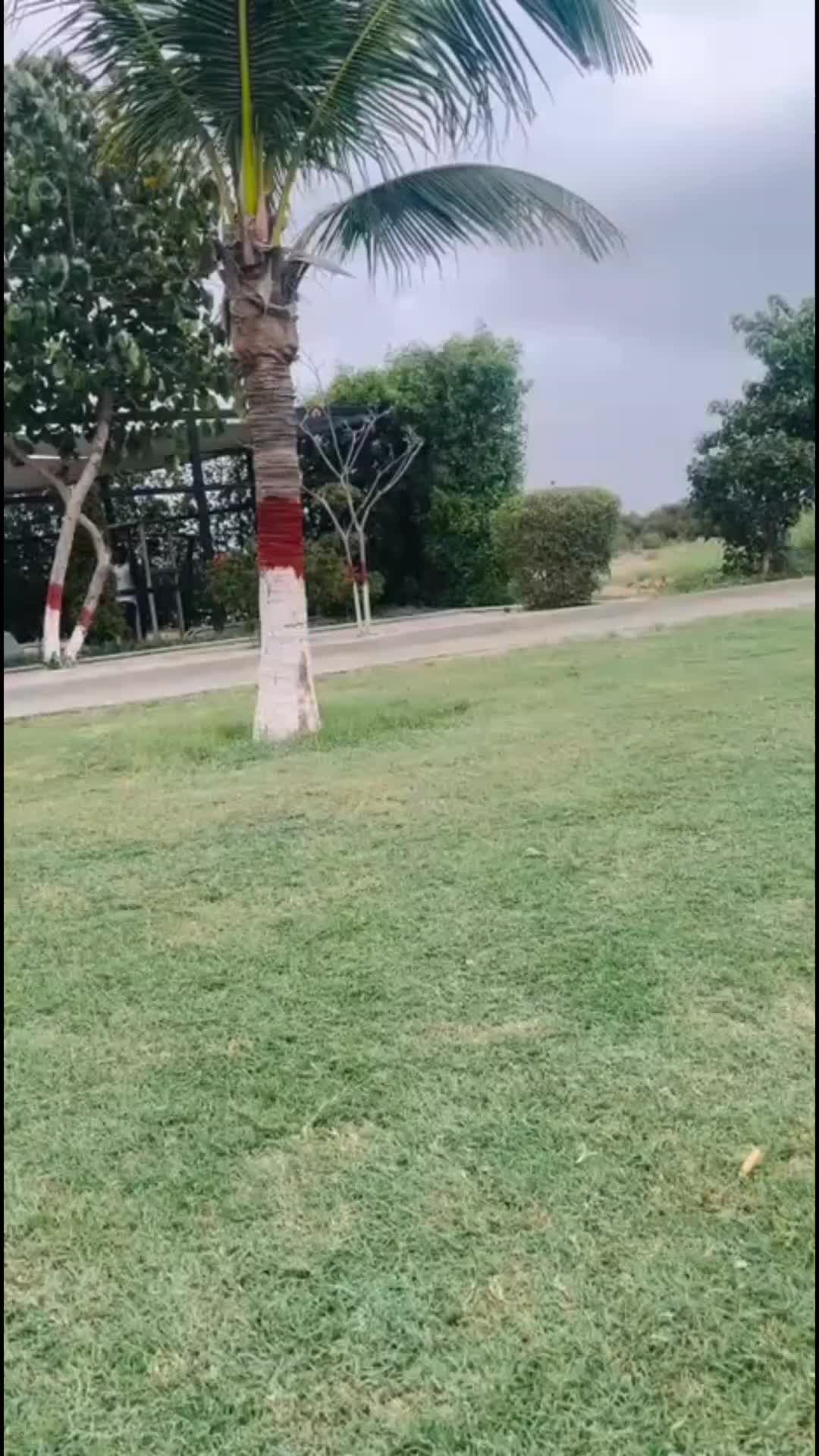 @🥷🥷✨حسن سرگودھا ✨🥷🥷