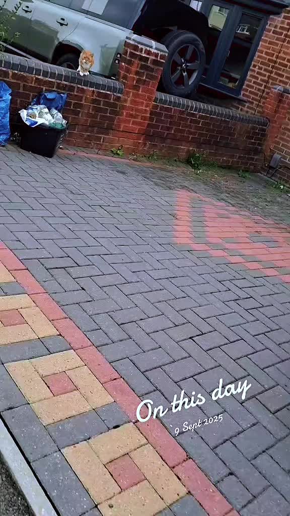 @Abida_Rafi