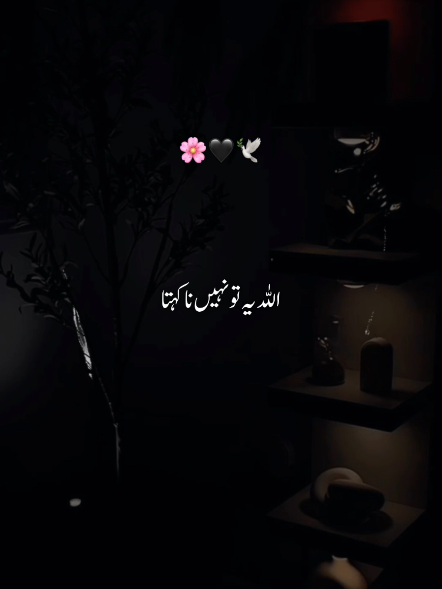 @𝐒𝐀𝐐𝐈𝐁 𝐄𝐃𝐈𝐓𝐒✨️