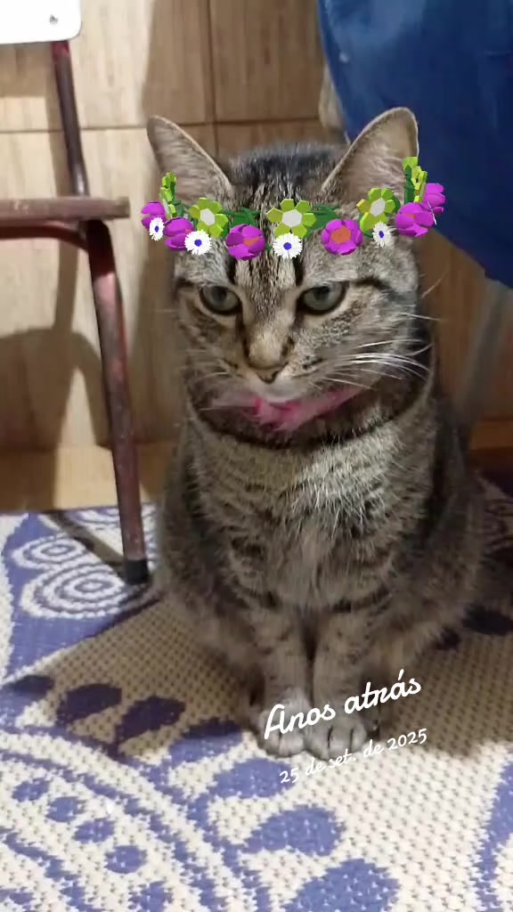 @Sofia Macedo