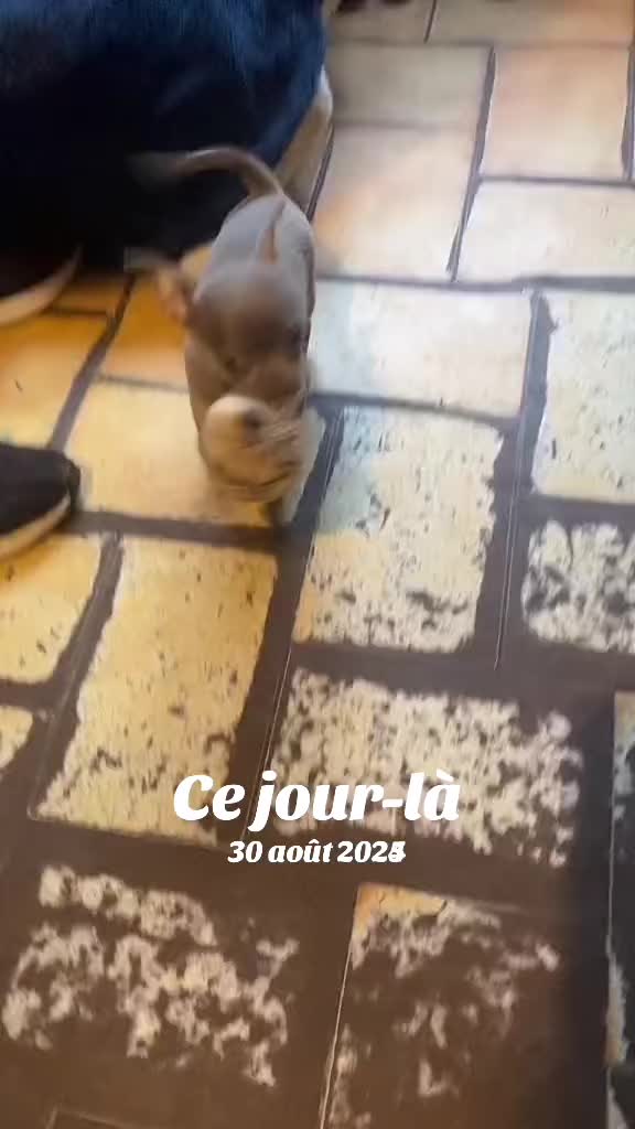 @Chatchientok