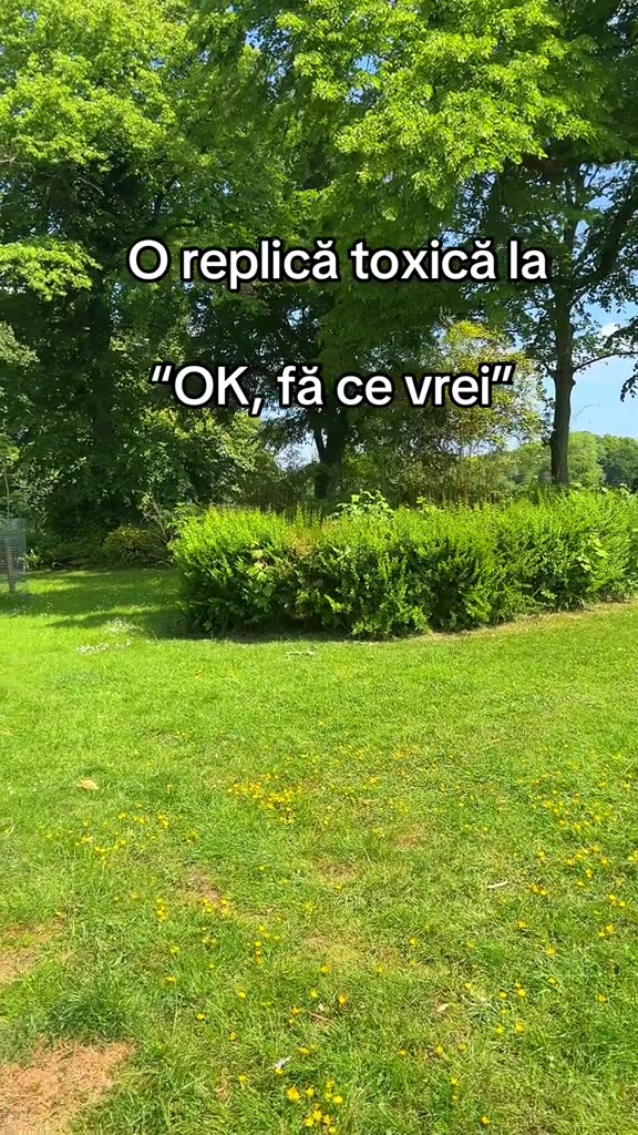 @Camiy✨