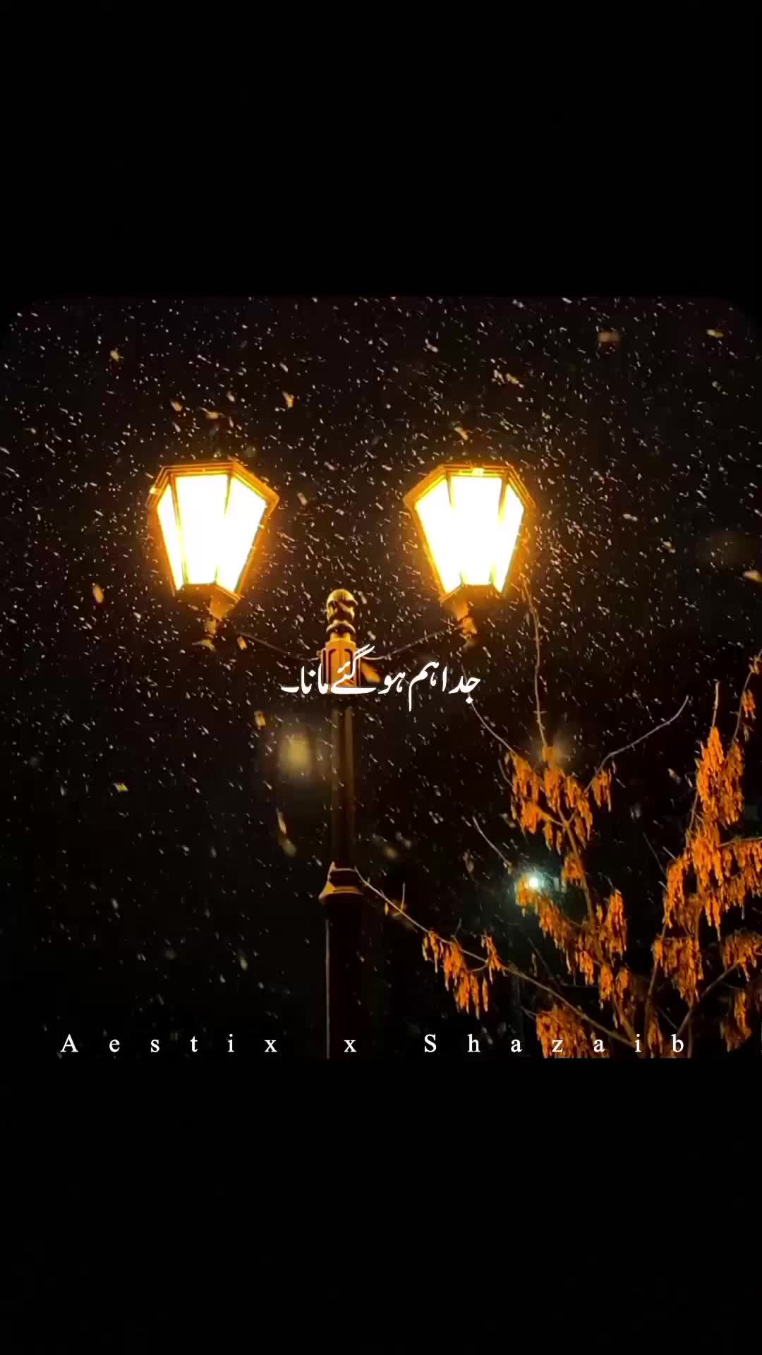 @Aestix x Shazaib