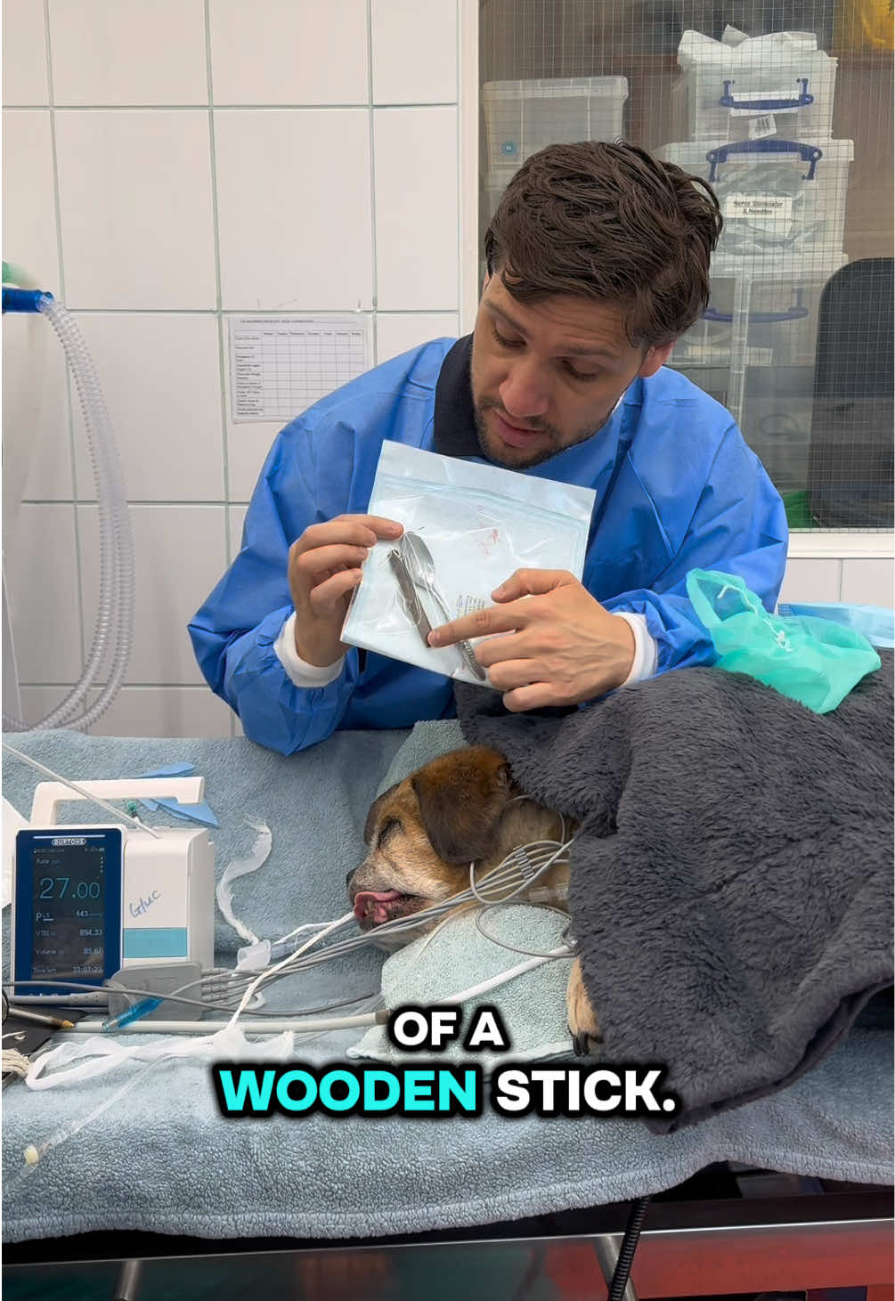 @Tomasthevet