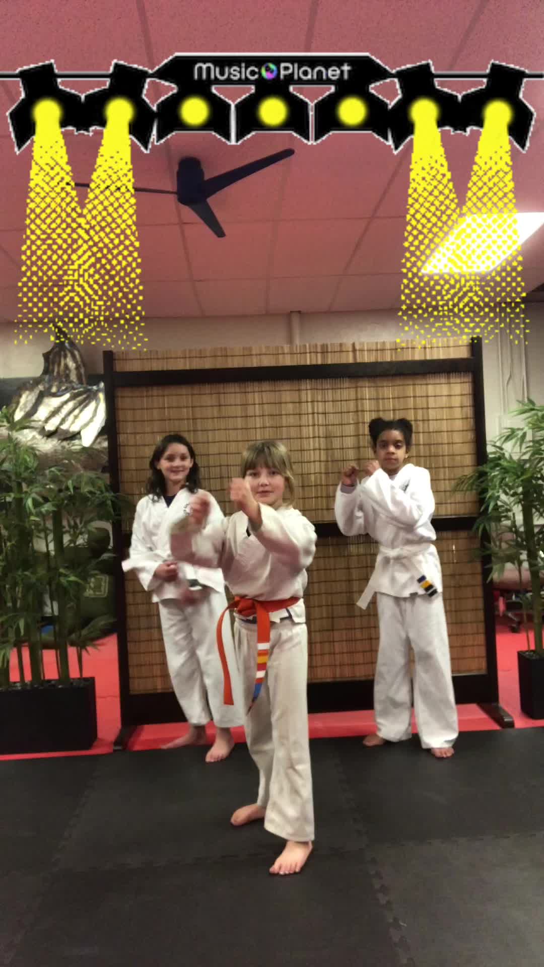 @linksmartialarts
