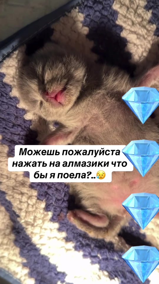 @kaboompriut