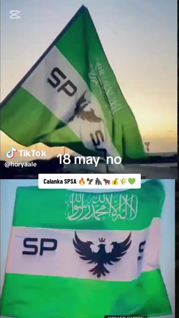 @DULMI DIID,, spsa 77🔪🔪