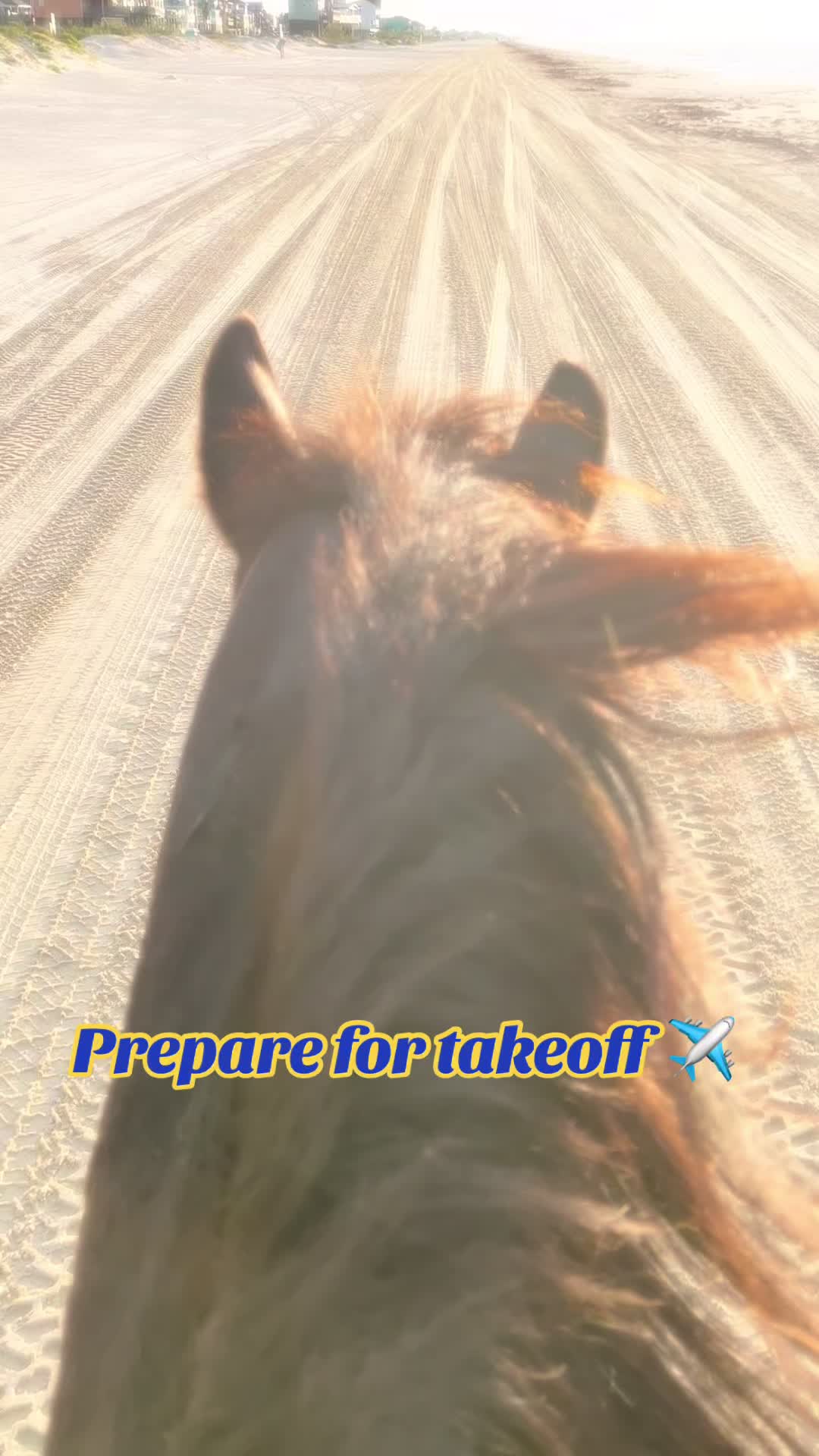 @haley&horses