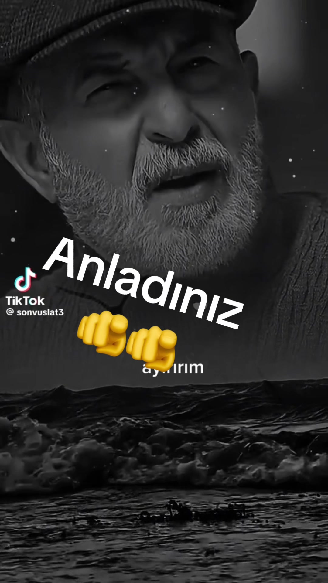 @🇹🇷Brad Gonyali Pitt🇩🇪