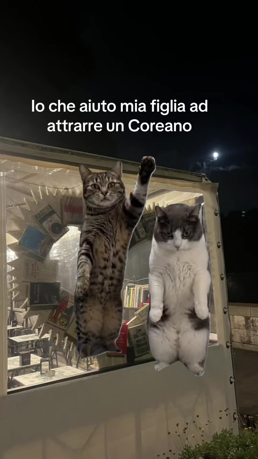 @Simona81🦋