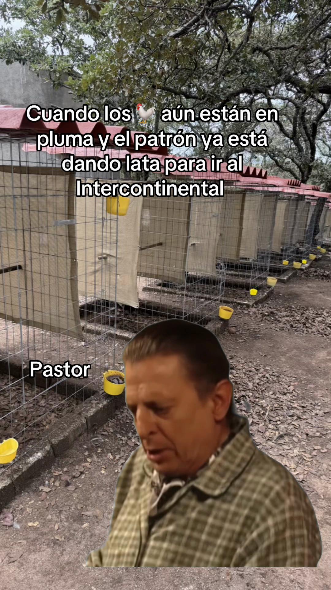 @SerPerLop