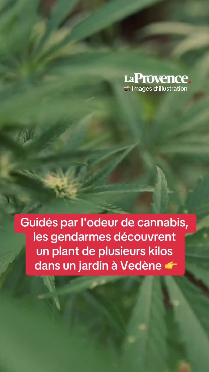 @La Provence