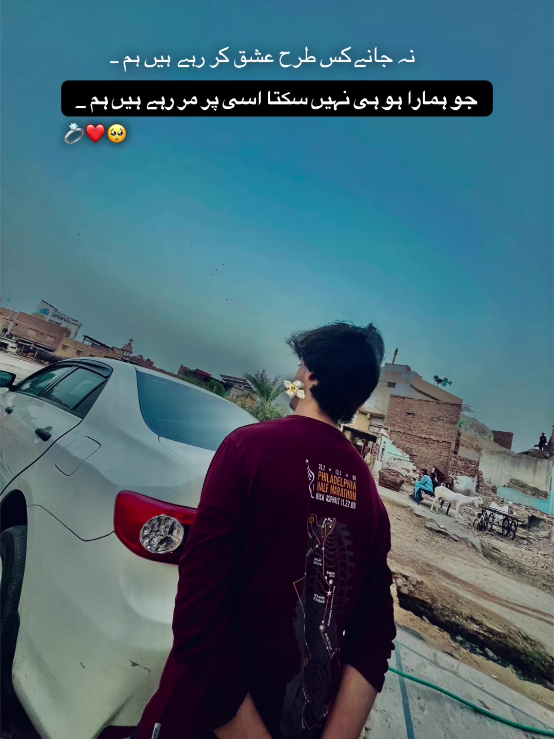 @سَاحِل عَلی⚜️
