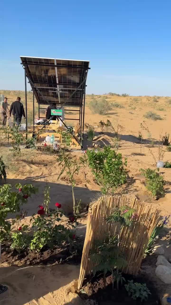 @ато🦁