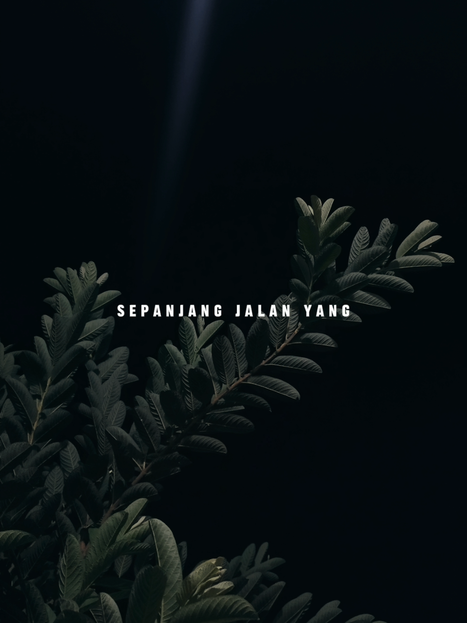 @𝐋𝐢𝐫𝐢𝐤 𝐒𝐞𝐝𝐞𝐫𝐡𝐚𝐧𝐚