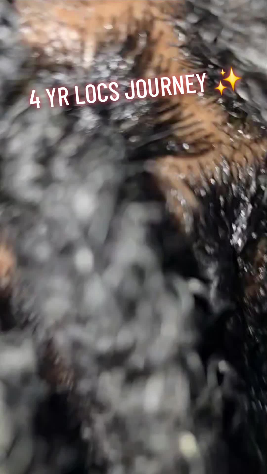 @The_BAWSE🐘🏳️&zwj;🌈