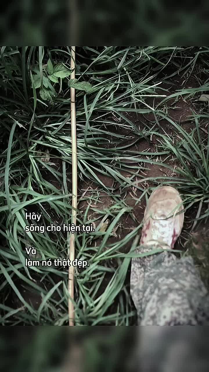 @Nguin ☘️☘️