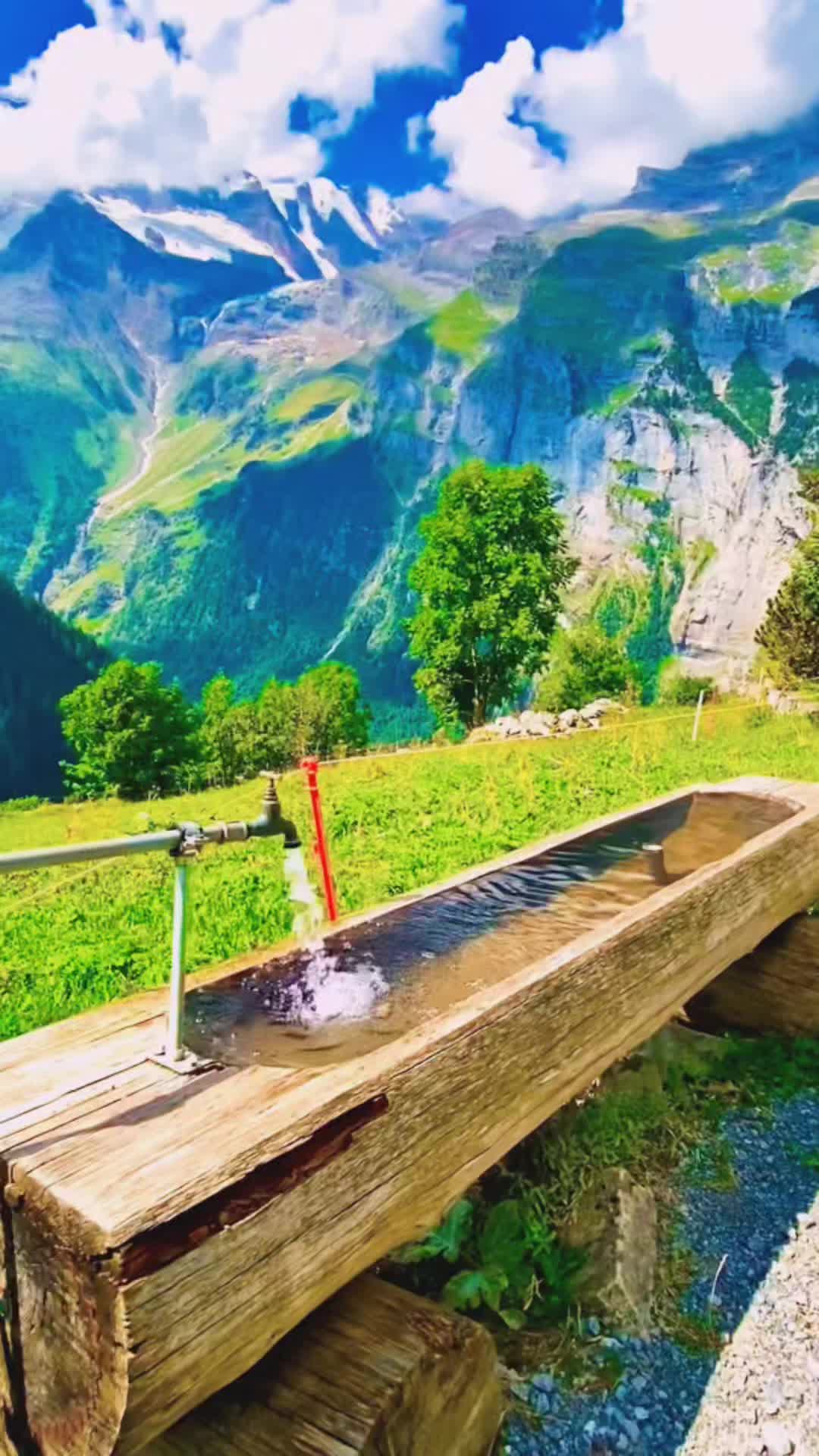 @🌿Relaxing Nature World🌿